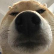 拉普拉斯凯的个人资料头像