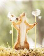 god_xu的个人资料头像