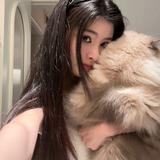 英明果断枫叶Eg头像