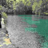 老君山下车迷头像