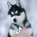 用户5903165577445头像