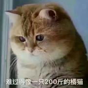 zlhfe的个人资料头像