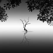 straier的个人资料头像