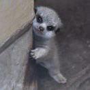 牙给你掰了的个人资料头像