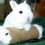 小聪680的个人资料头像