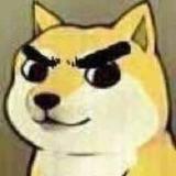 聪明埃文3b8头像