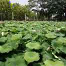 ww不想说话110192的个人资料头像