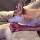 Fuizon的个人资料头像