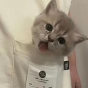 羽落惊蝉的个人资料头像