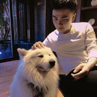 小毛叫毛毛头像