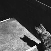 WEN851的个人资料头像