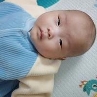 来台雅迪顶配头像