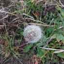 chrislrt_的个人资料头像