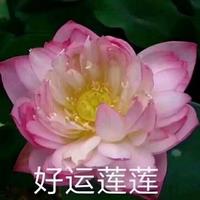 幸福时光98117头像