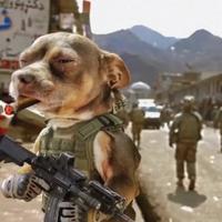 阿龙151614985头像