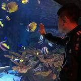 武阳莫兰特头像