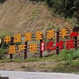 低保老头自渡头像