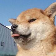 雷半仙的个人资料头像