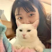 bello是喵喵妈的个人资料头像