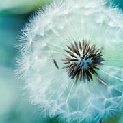 银子732的个人资料头像