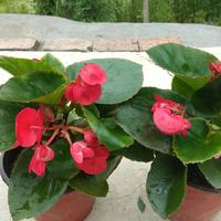 好男人未必好662头像