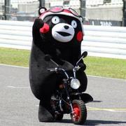 LLcoolQ的个人资料头像