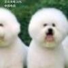 用户22018126153头像