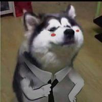 用户7914314886562头像