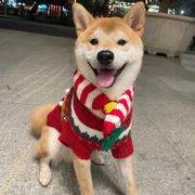 兔子alef的个人资料头像