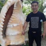 西北五县最亮的仔头像