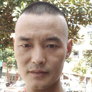 海上漂泊的鸟头像