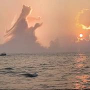 思空855的个人资料头像