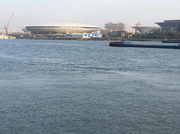 向前转弯的个人资料头像