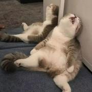 _那个谁的个人资料头像