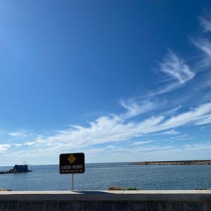 龙口海景房曲桐头像