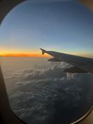 AAA新鲜猪肉批发的个人资料头像