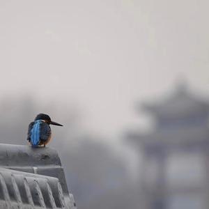 易雨12345头像