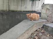 不见_的个人资料头像