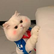 大包子的个人资料头像