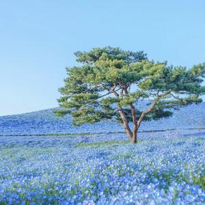 银川岚图头像