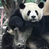 1171157头像