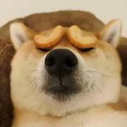 天琛的个人资料头像