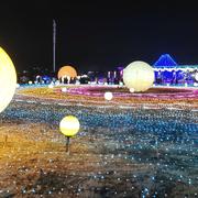 帅帅的彭彭的个人资料头像