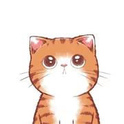 WittyKitten的个人资料头像