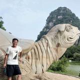 砌体杨明武头像