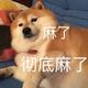 束束束宝宝头像