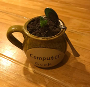 DarKniGht的个人资料头像