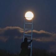 newway的个人资料头像