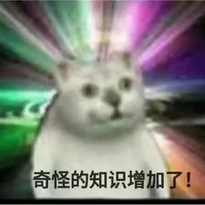 我养猪养你头像