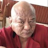 沈阳李知恩头像